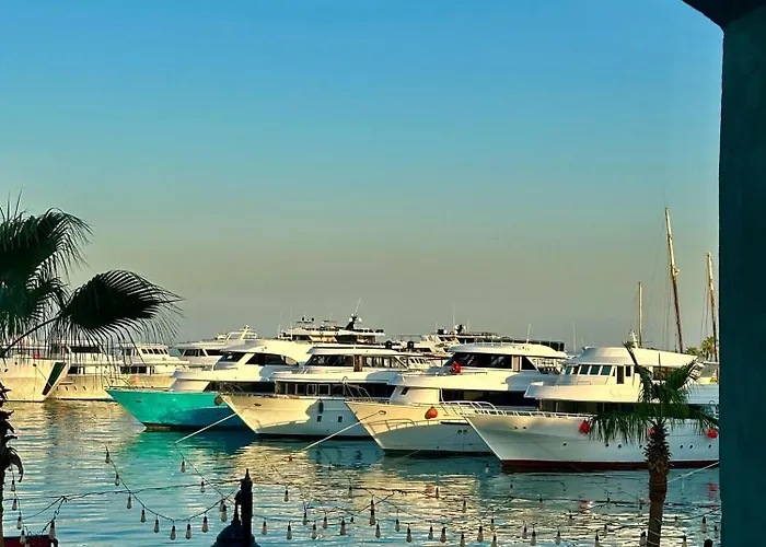 New Marina Deluxe *